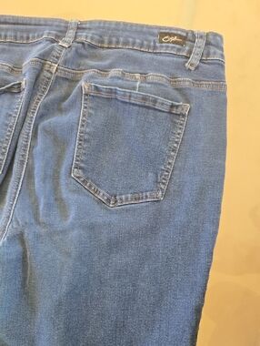 Earl Jeans Blue Cropped Ankle Jeans